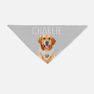 Personalized pet bandana are the best