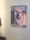 pop art of labrador dog on canvas