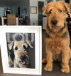 Lou our airedale terrier showing her pop art in a white frame