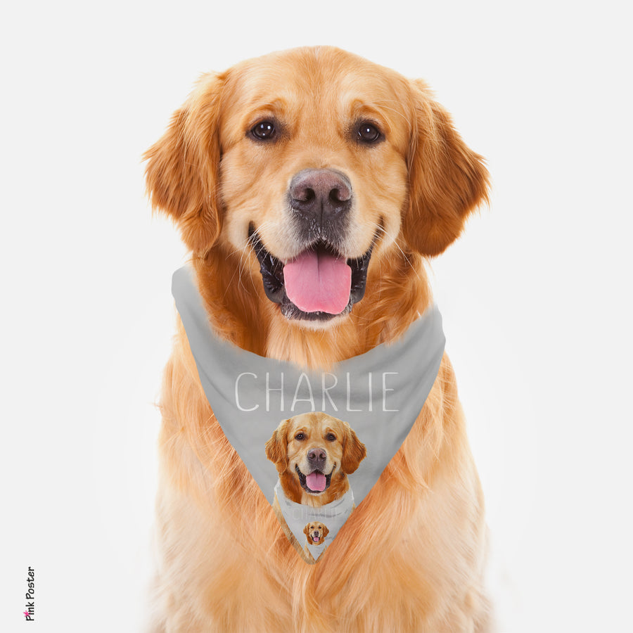 Create your own pet bandana with your photos