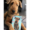 Custom notebook with pop art of airedale